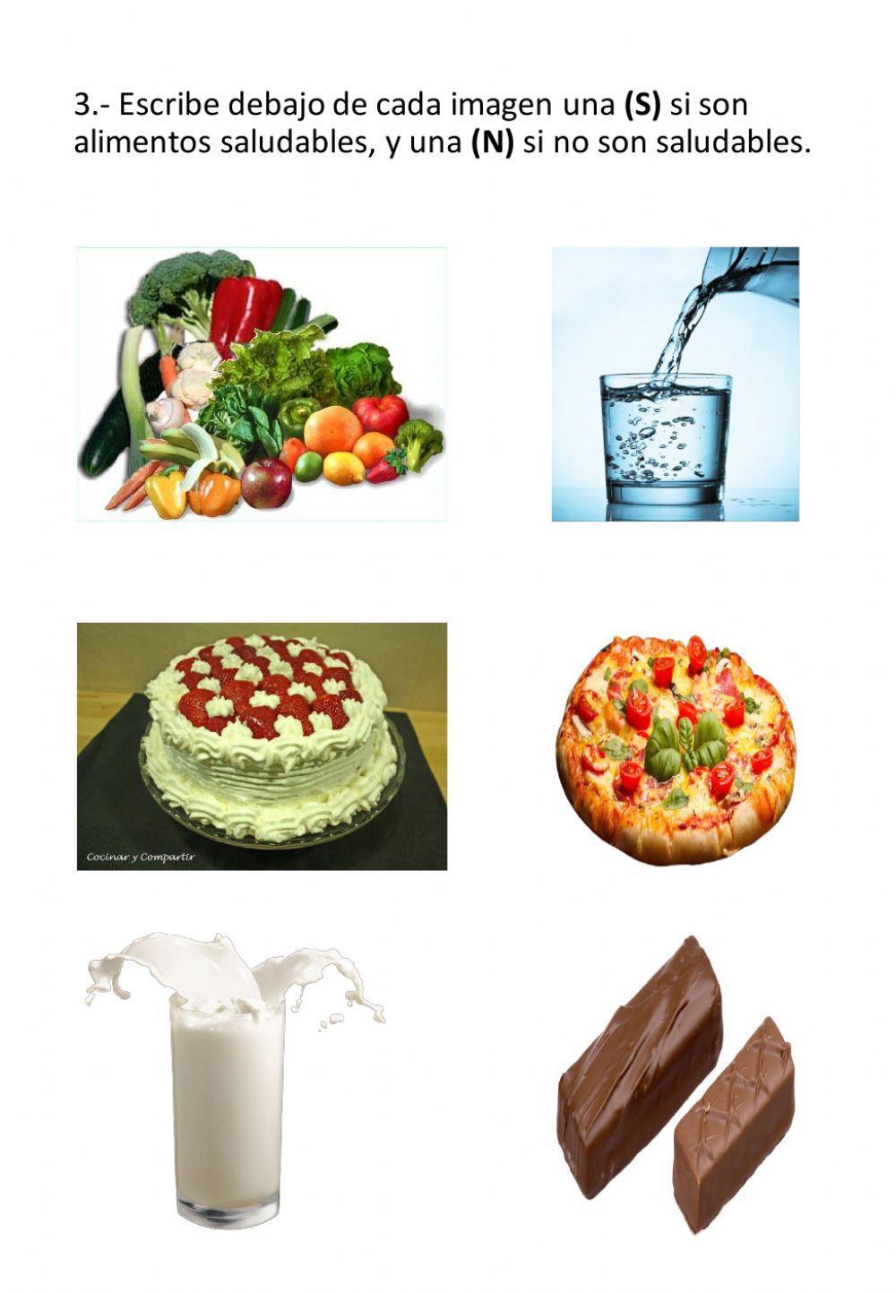 Función de los alimentos