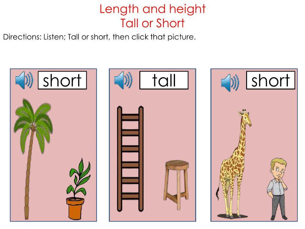 Lengths and height