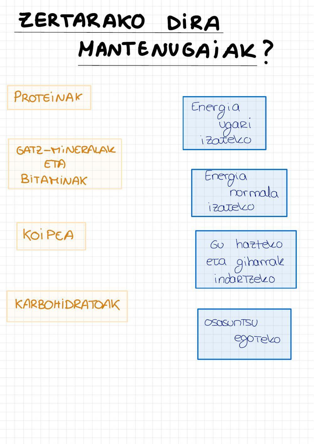 Mantenugaiak (piramidea)