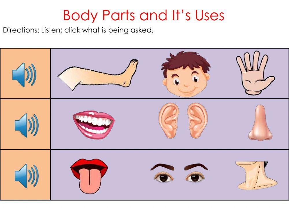 Body parts and it's uses worksheet