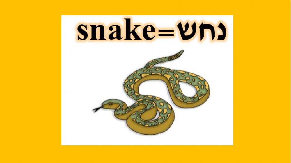 letter s words and sound