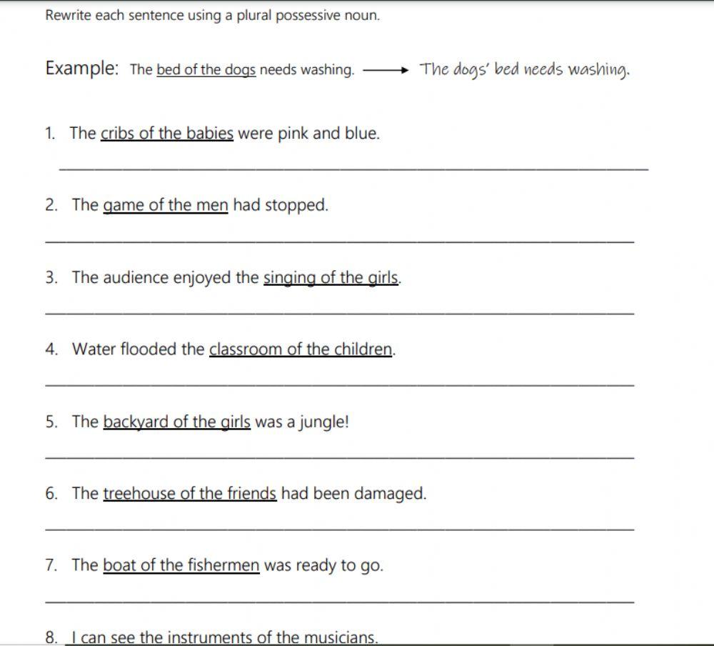 Plural Noun Possessives 2