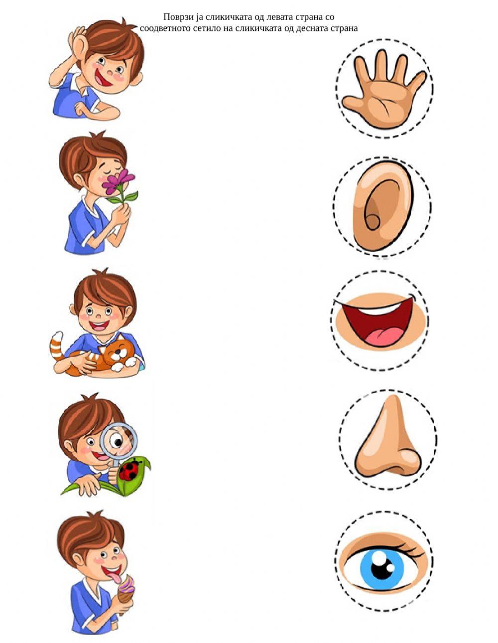 Сетила worksheet | Live Worksheets