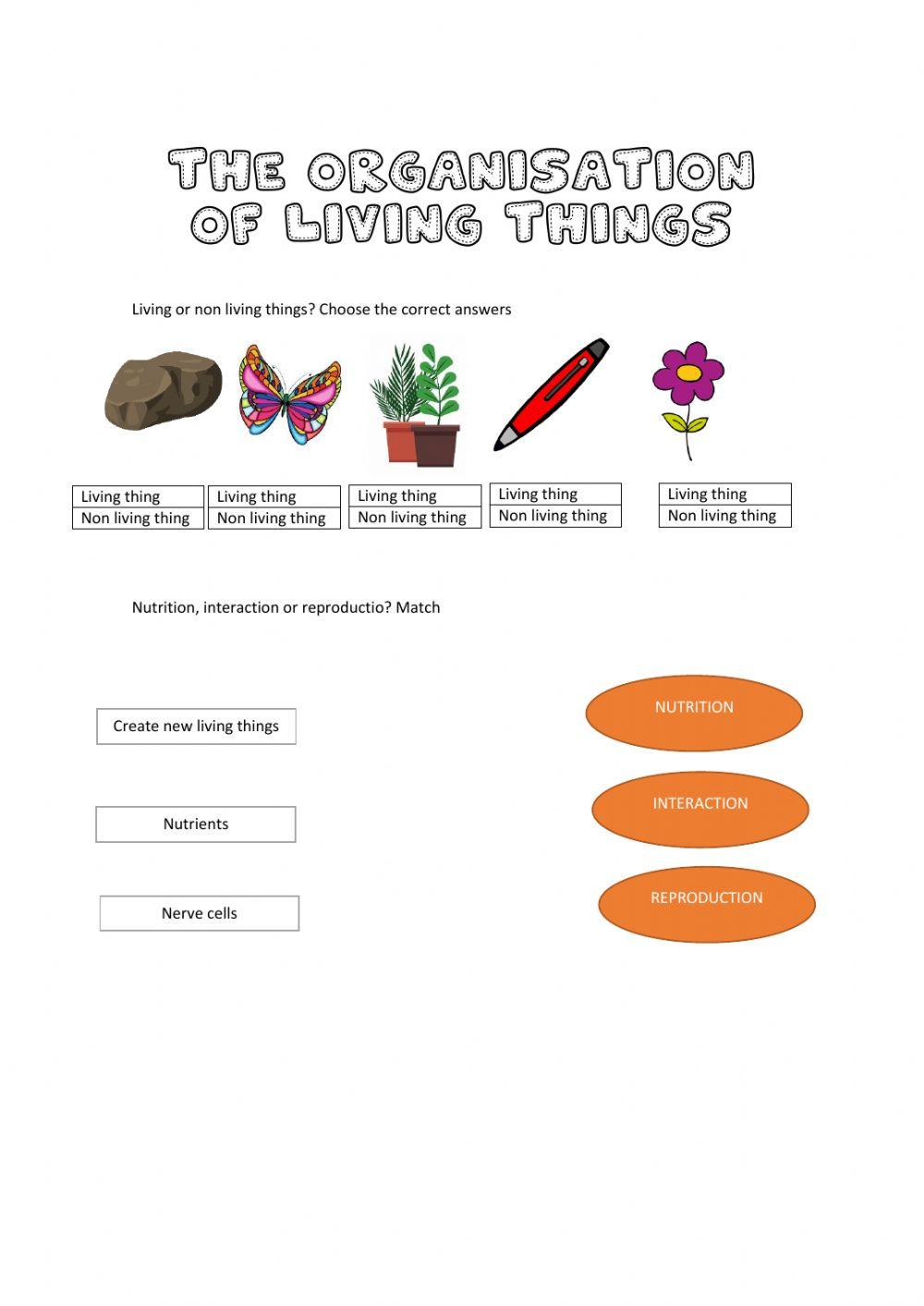 The organisation of living things