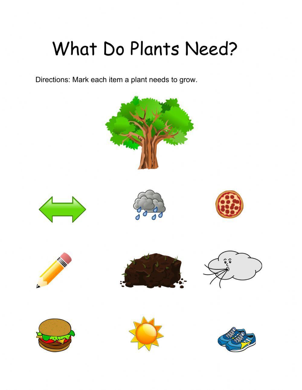 Plants needs