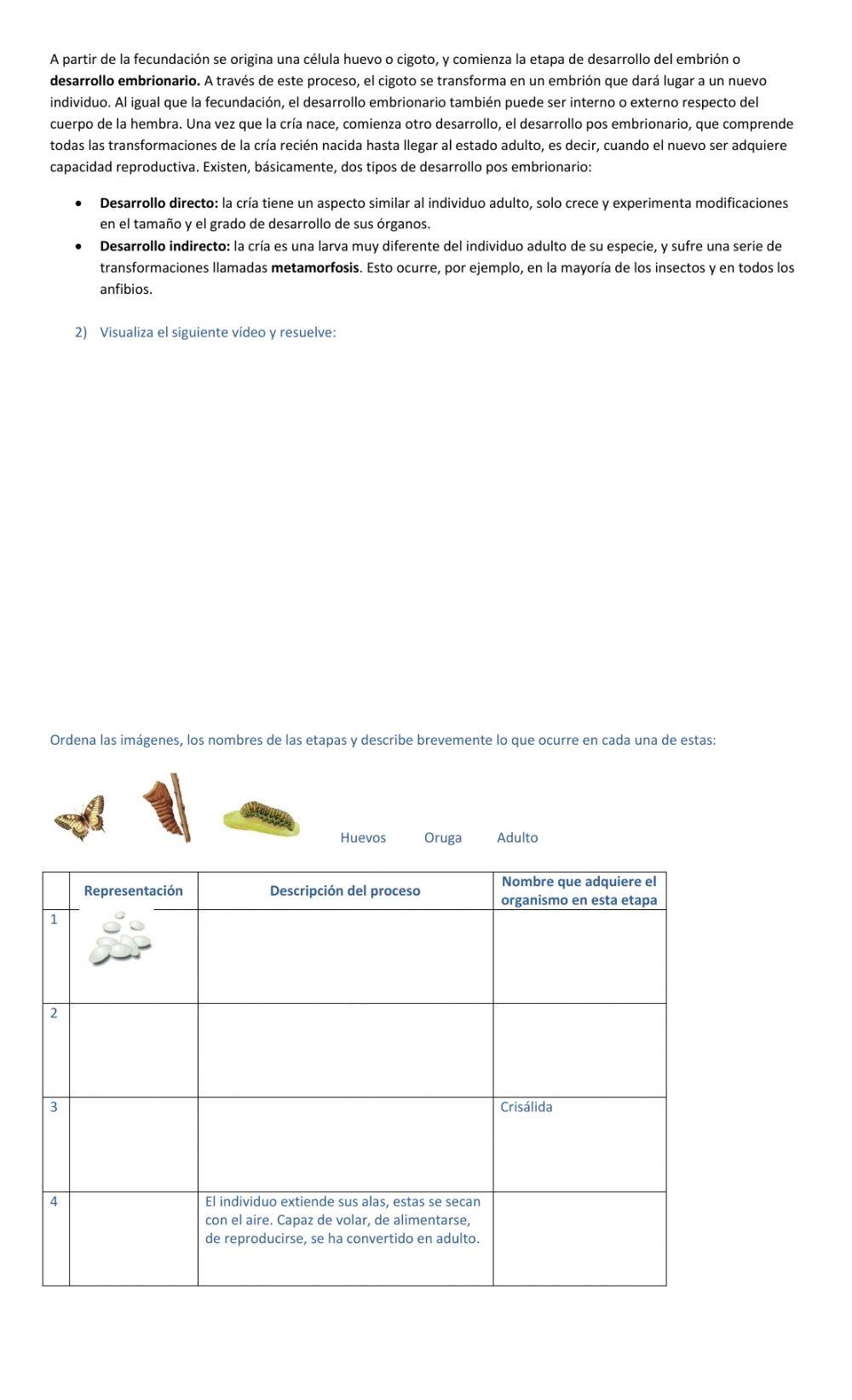 Reproducción sexual parte 1