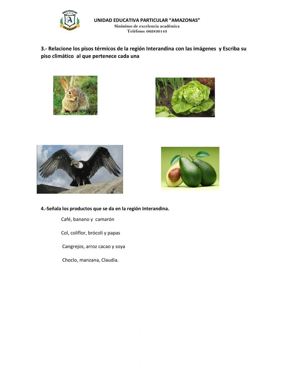 Caracteristicas de la region litoral e interandina