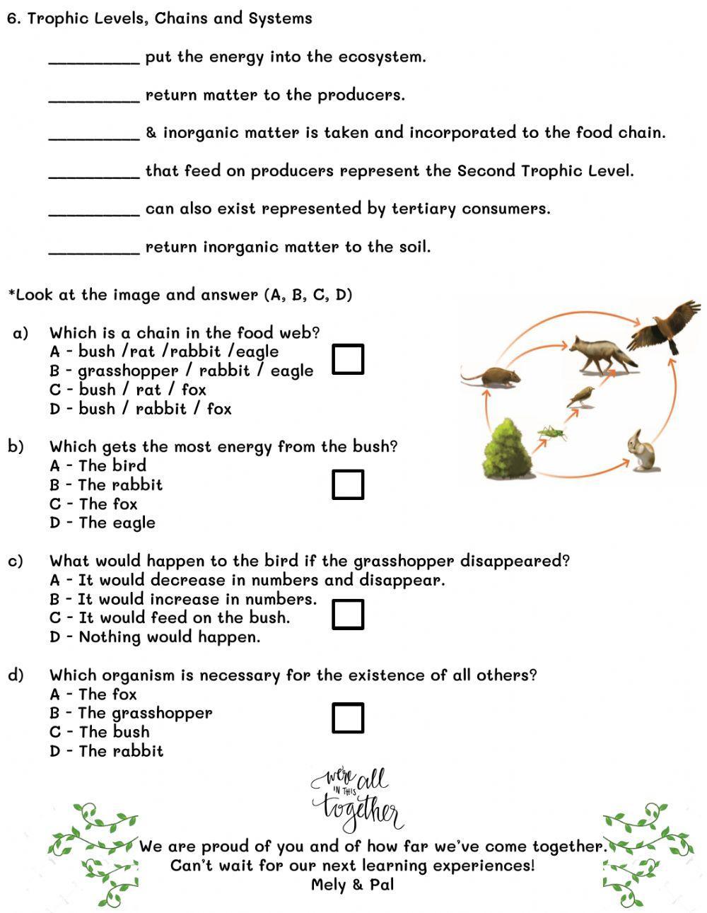 Energy in the Environment