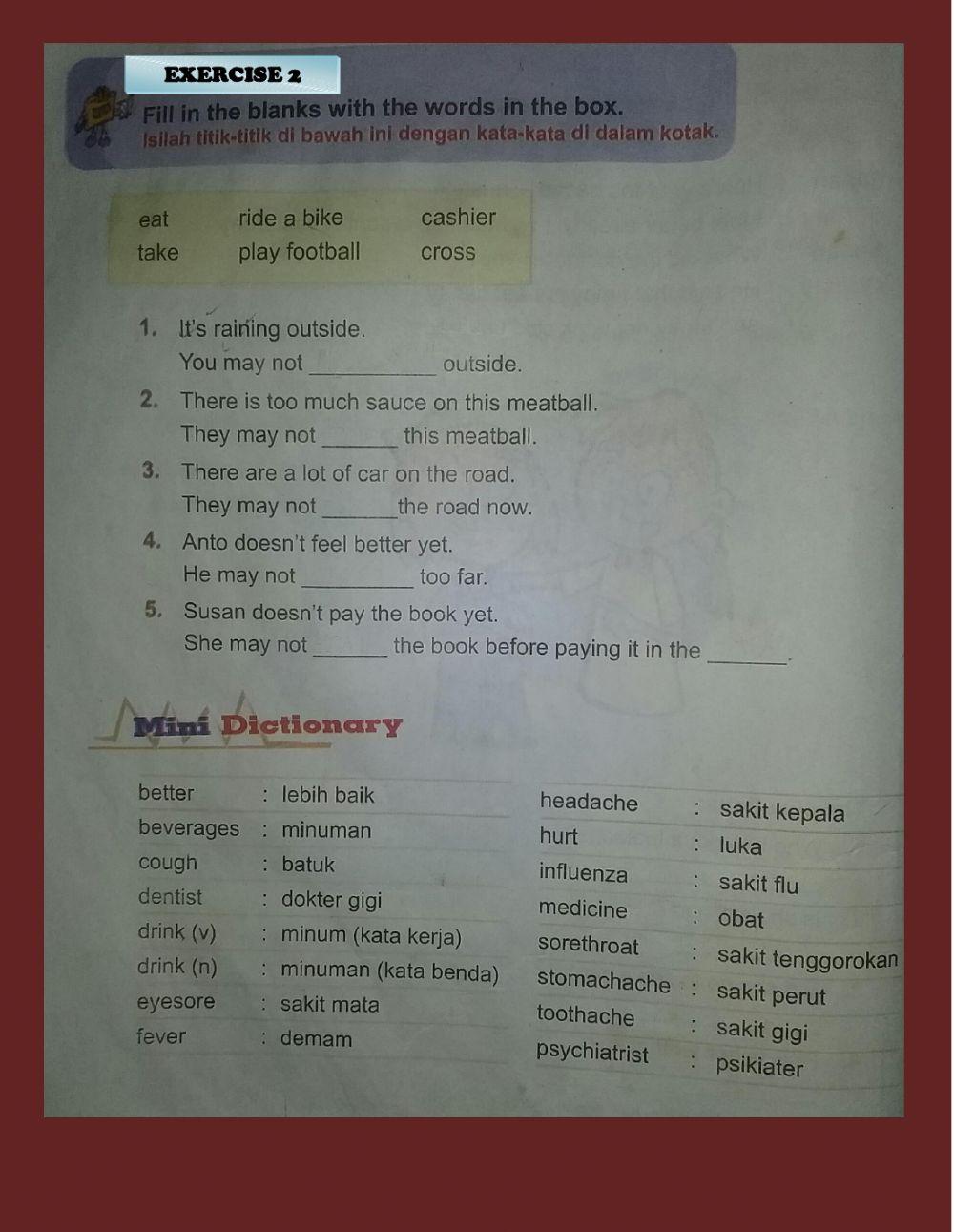 Present perfect for grade 5