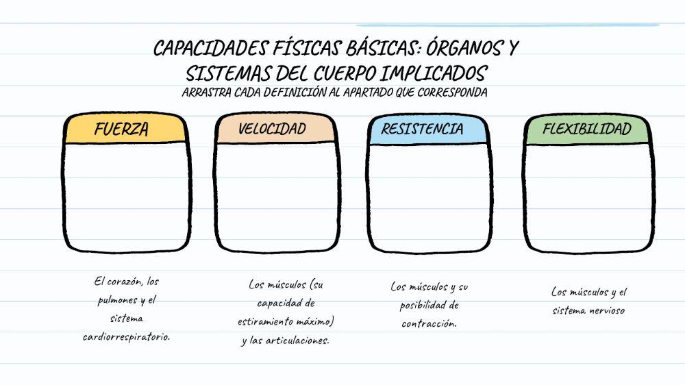 Capacidades fisicas basicas 1º eso