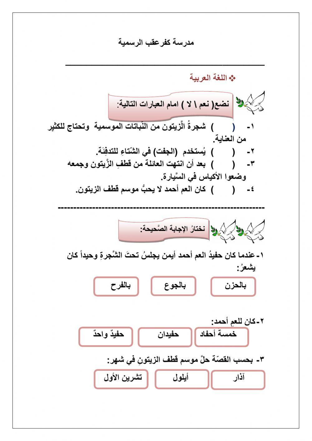 موسم الزيتون