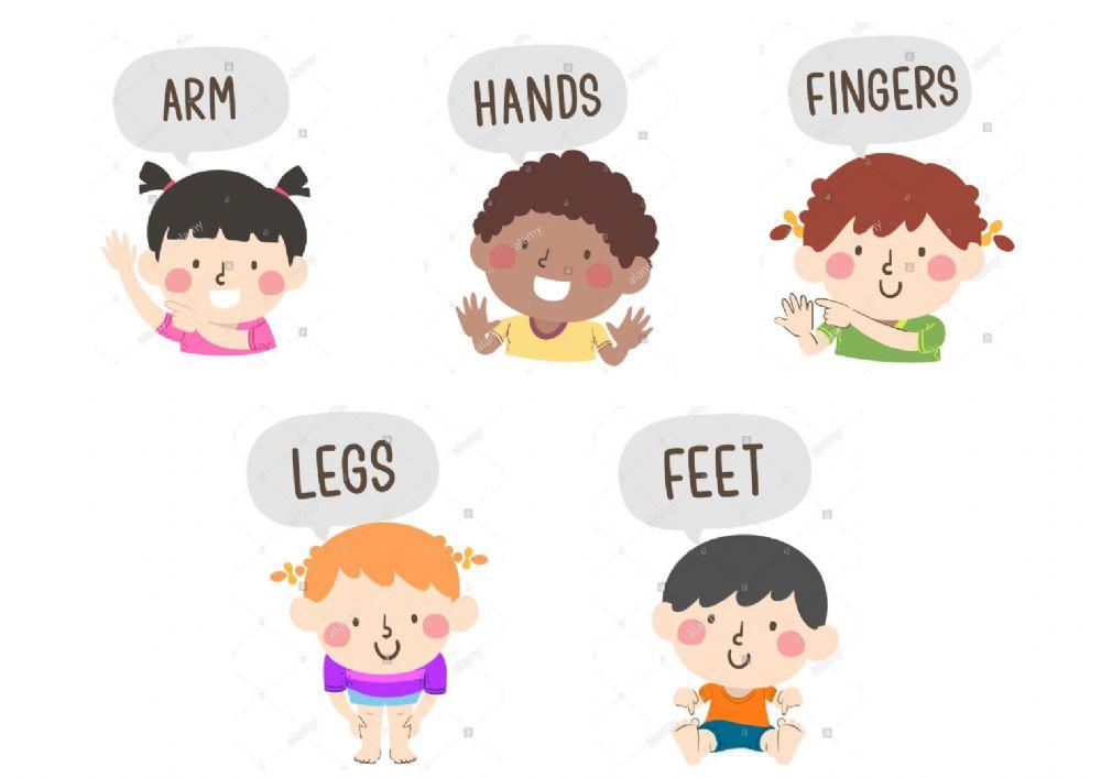 Body parts 2 - listening Body parts 2 - listening