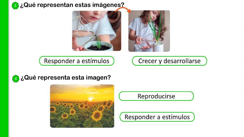 El mundo que nos rodea