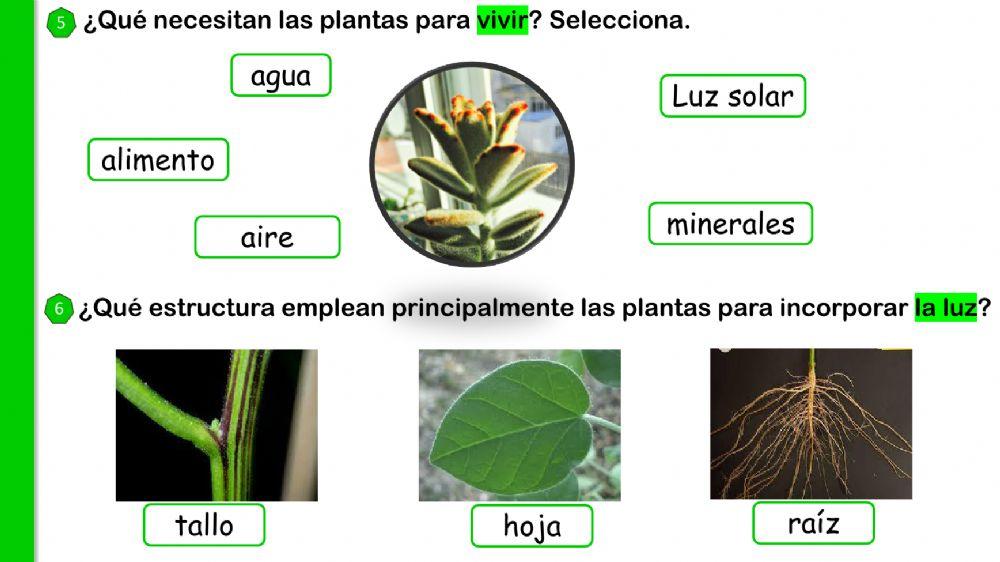 El mundo que nos rodea