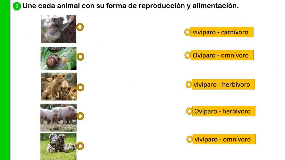 El mundo que nos rodea