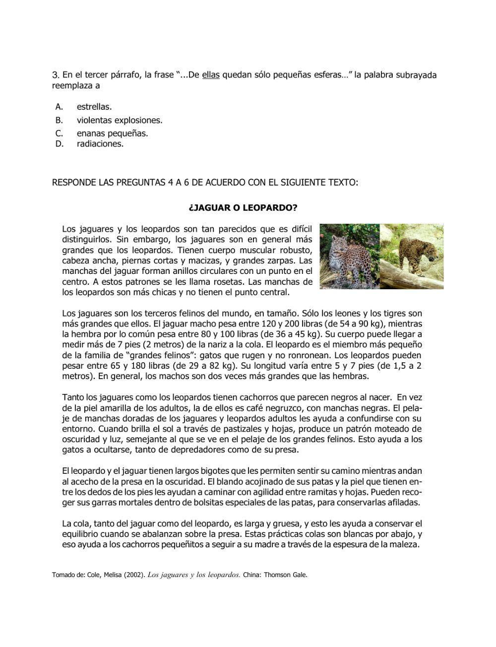 Actividad de comprensión