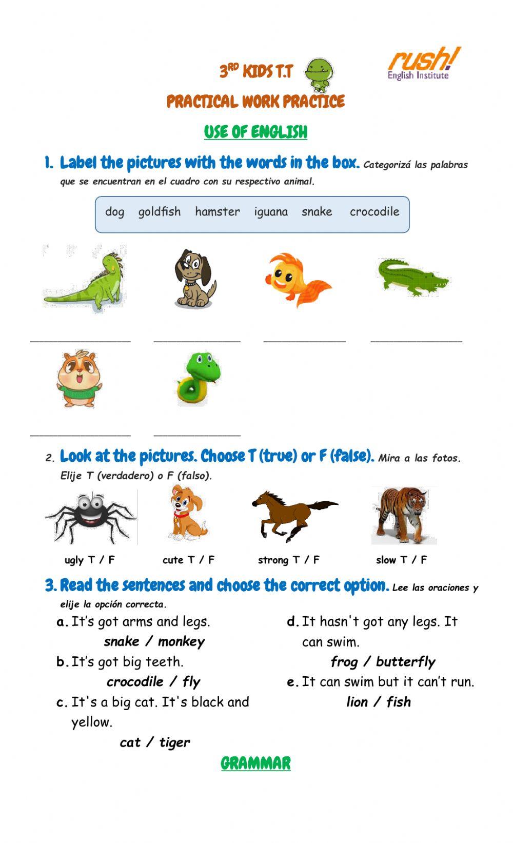 3rd Kids T.T - Practical Work Practice Unit 7