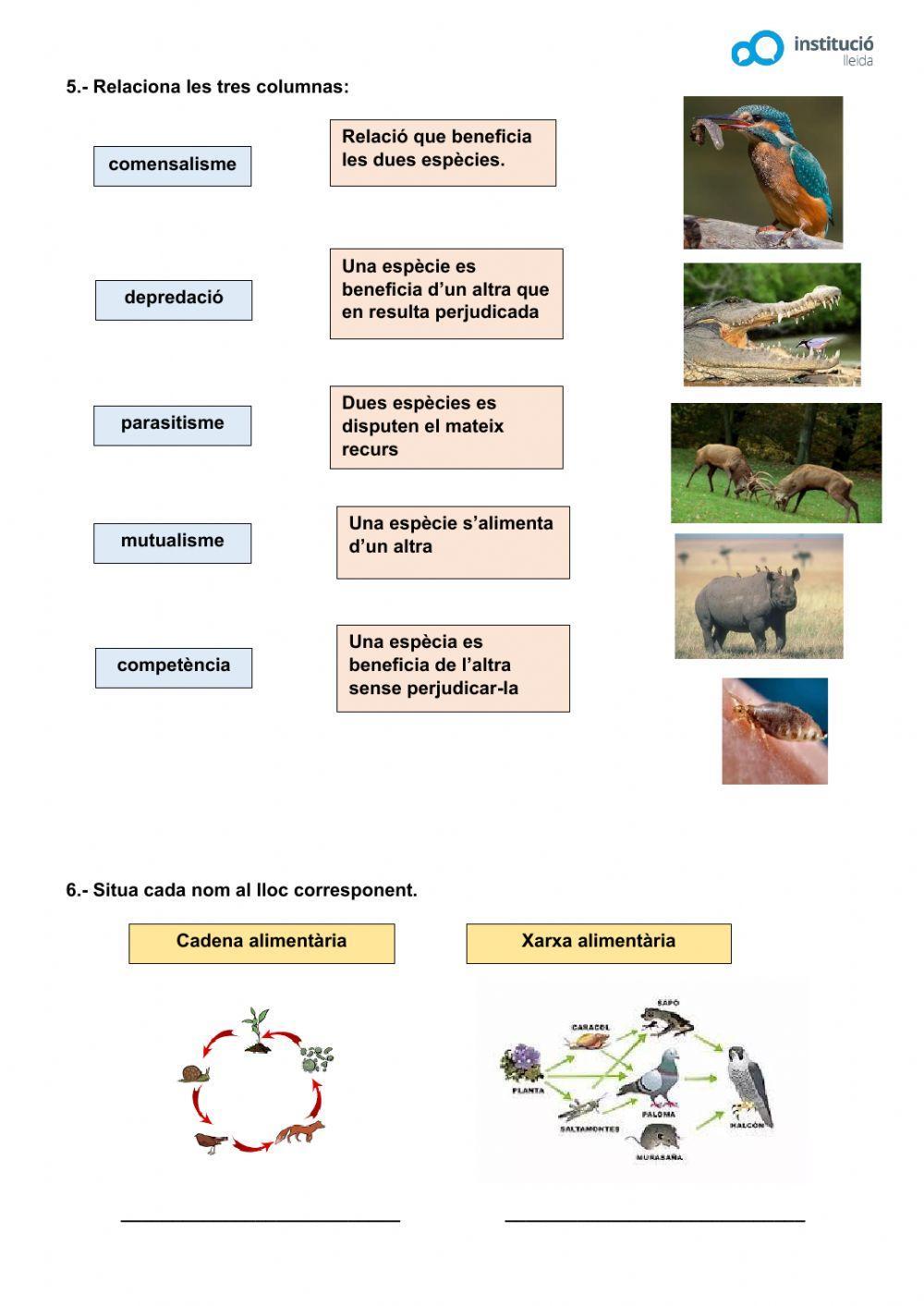 Ecosistemes Ecosistemes