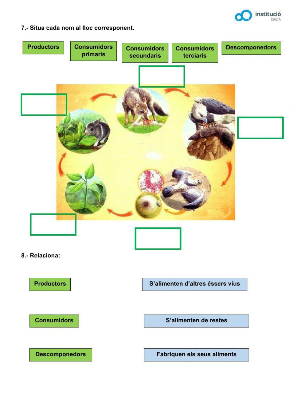 Ecosistemes Ecosistemes