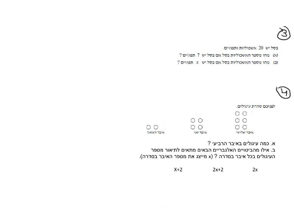 חזרה בנושא חוקיות, המשתנה, הצבה