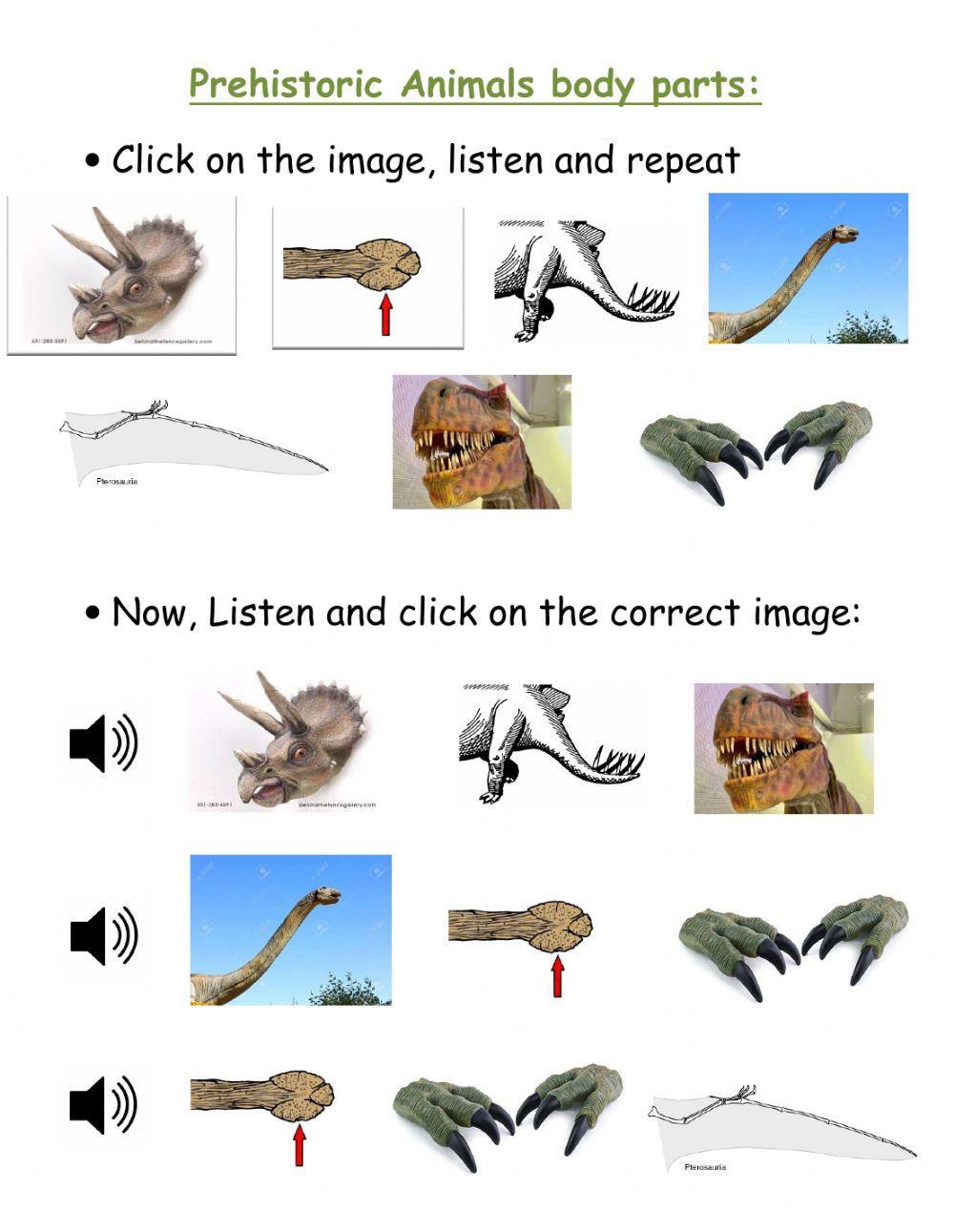 Prehistoric animals bodyparts Prehistoric animals bodyparts