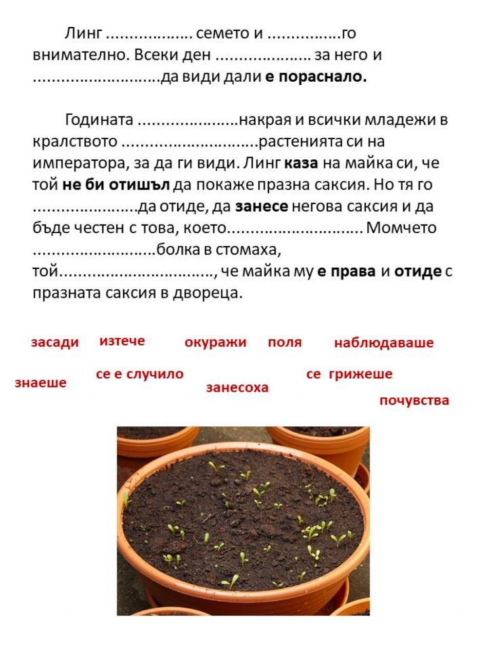 Подрежане на глаголи в минало време worksheet | Live Worksheets