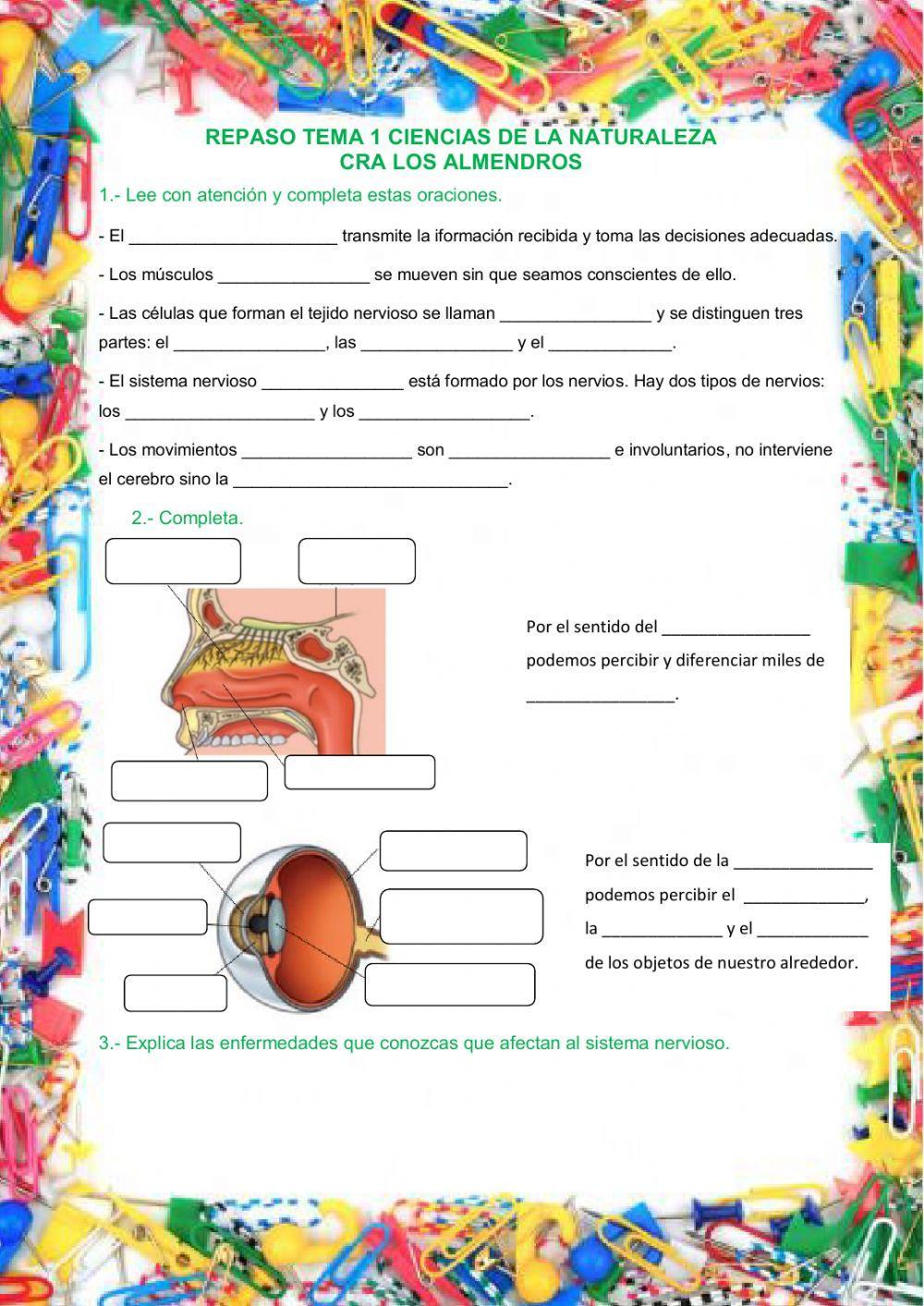 Repaso Naturales tema 1 Repaso Naturales tema 1