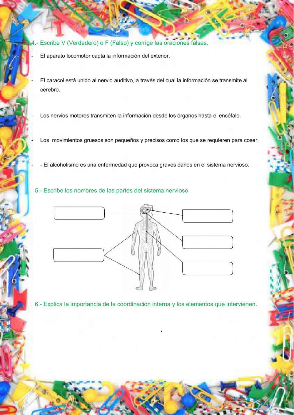 Repaso Naturales tema 1 Repaso Naturales tema 1