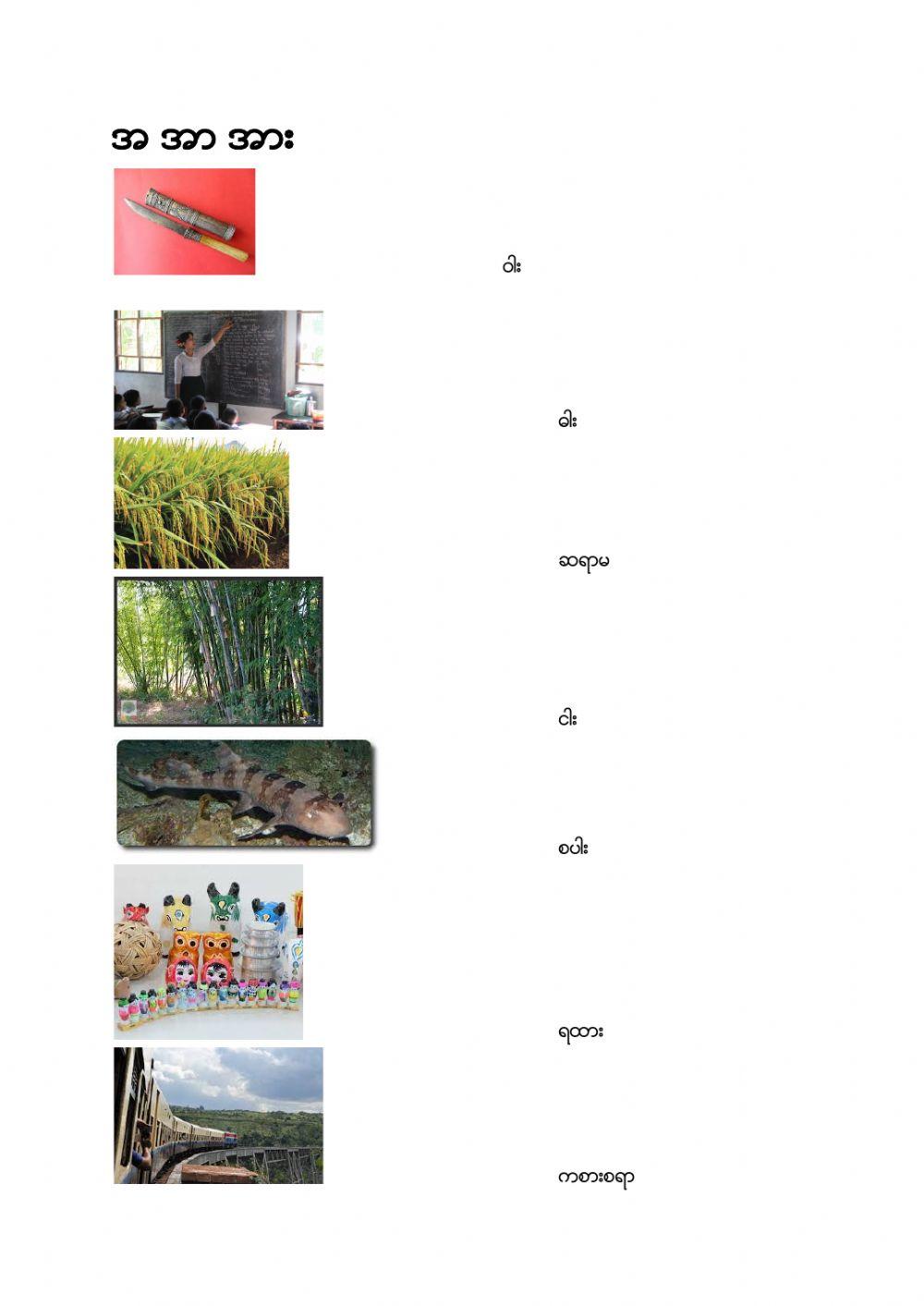 Vocabulary Review Grade 1 (unit 1-3)