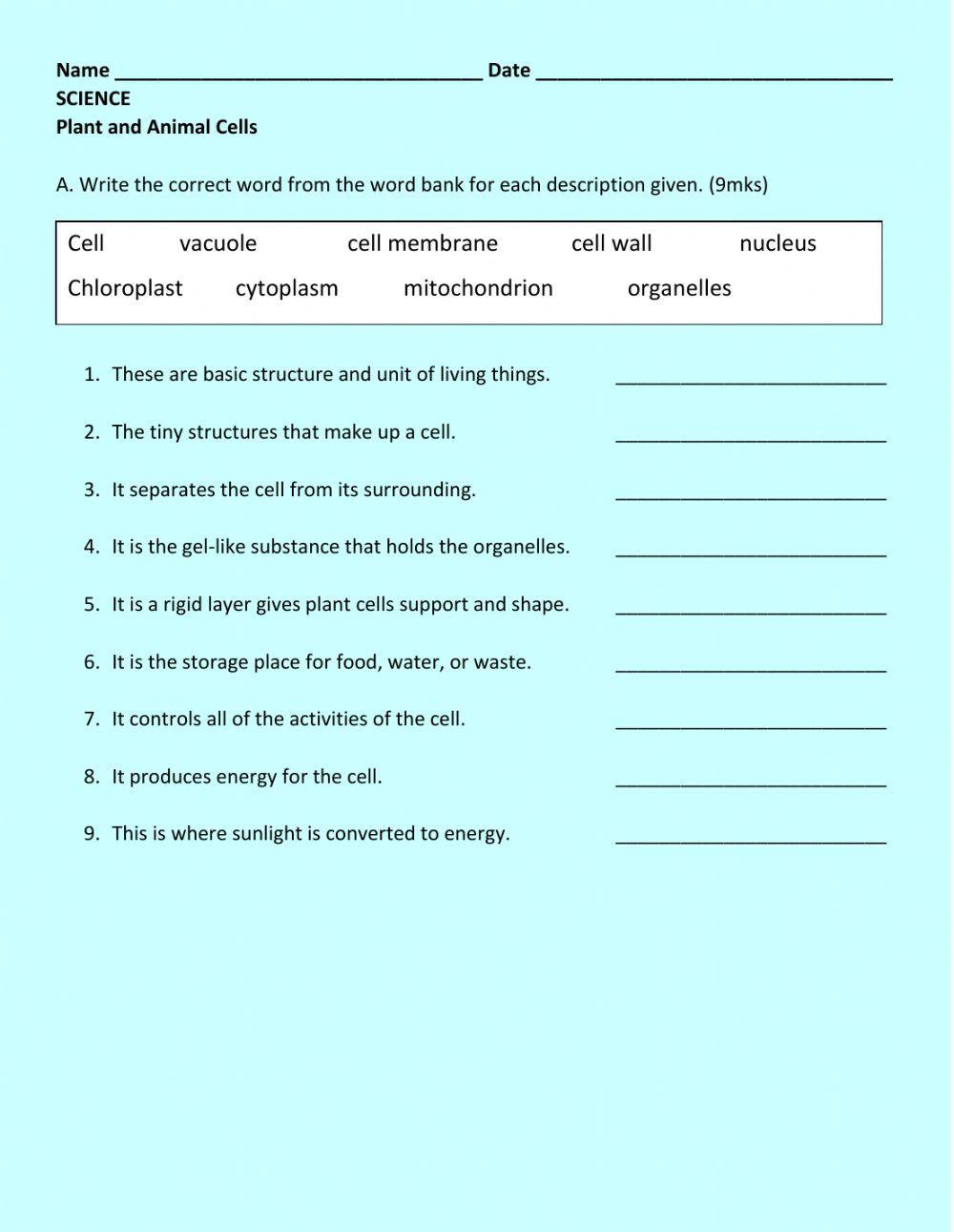 Plant and Animal Cells
