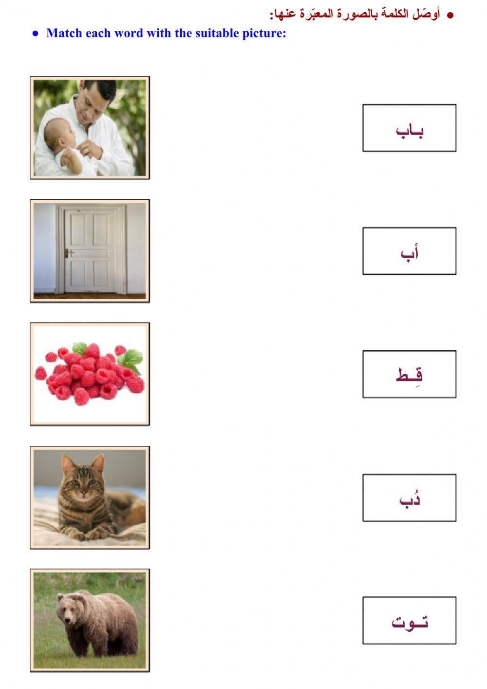 حروف وكلمات