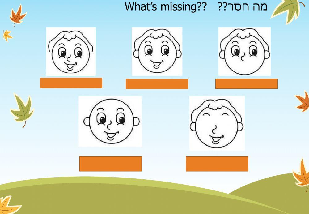 מצגת המשך חלקי הפנים