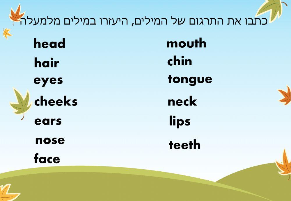 מצגת המשך חלקי הפנים