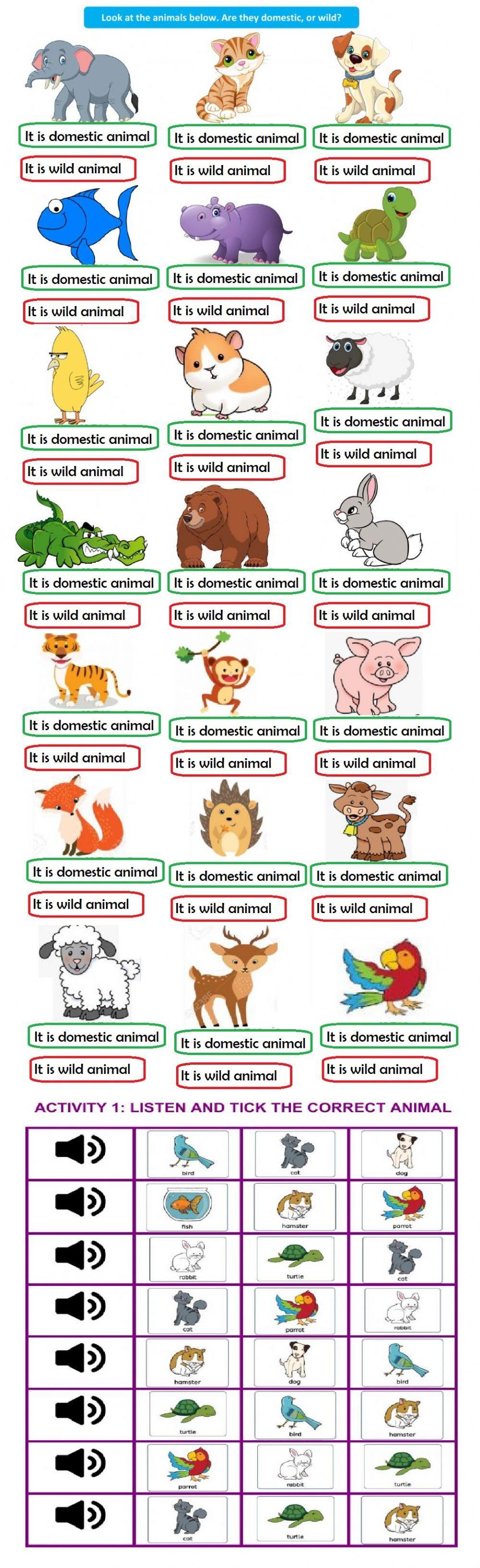 Domestic and wild animals