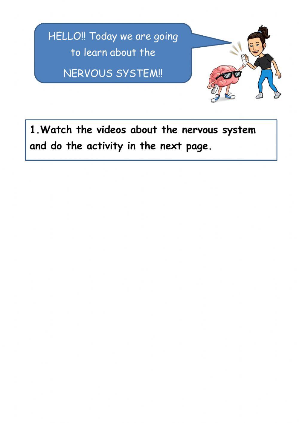Nervous system