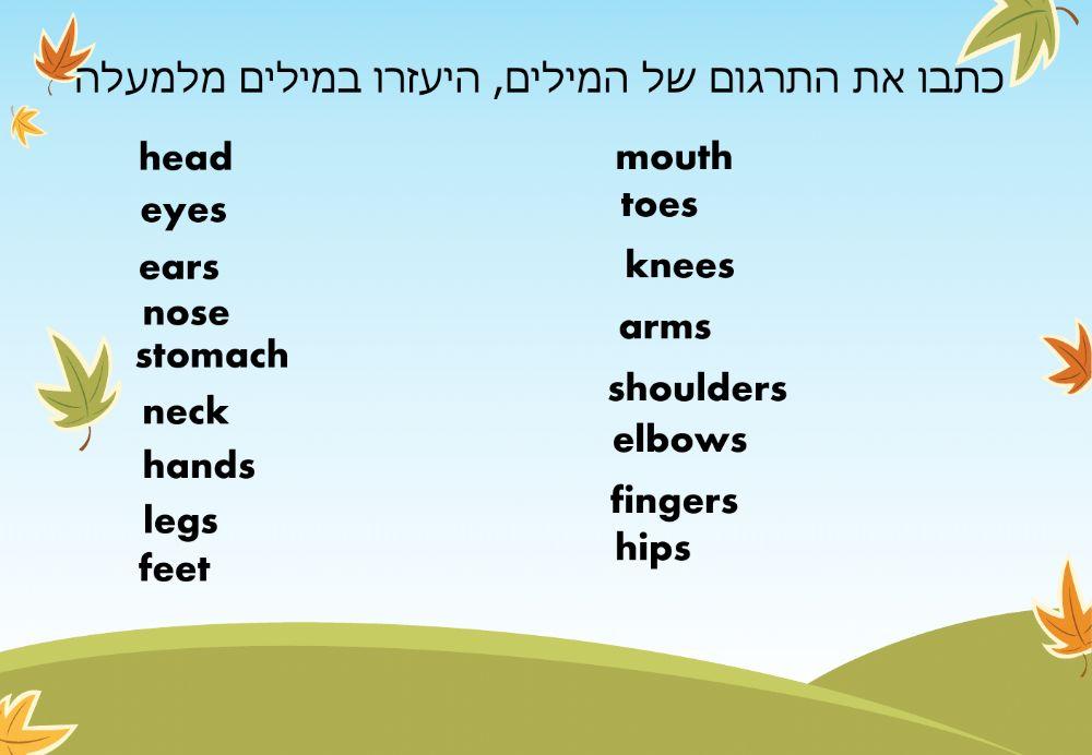 חלקי גוף Parts of the body