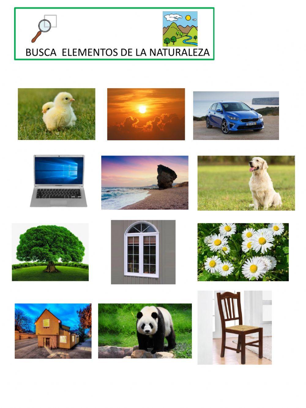 LA CREACIÓN Vivimos en un mundo hermoso LA CREACIÓN Vivimos en un mundo hermoso