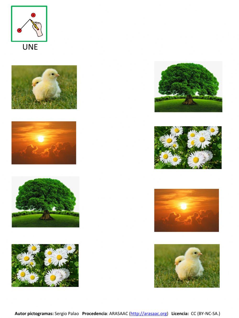 LA CREACIÓN Vivimos en un mundo hermoso LA CREACIÓN Vivimos en un mundo hermoso