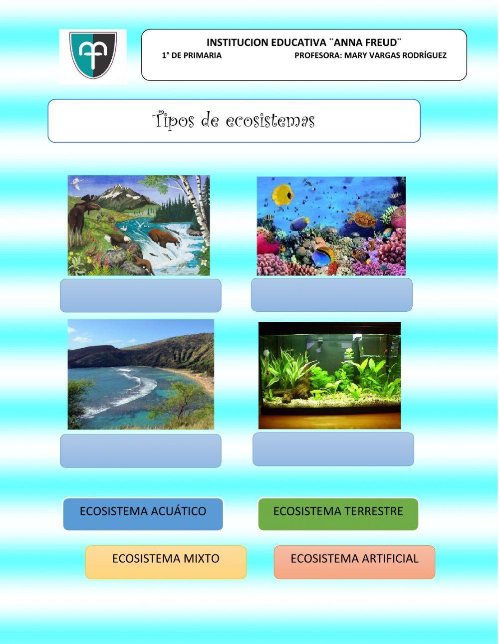 Tipos de ecosistemas