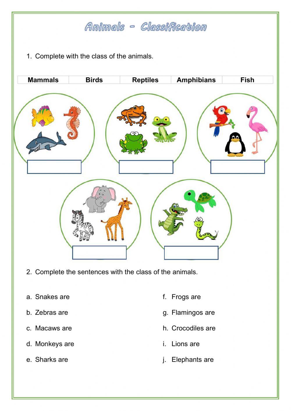 Classification of animals worksheet