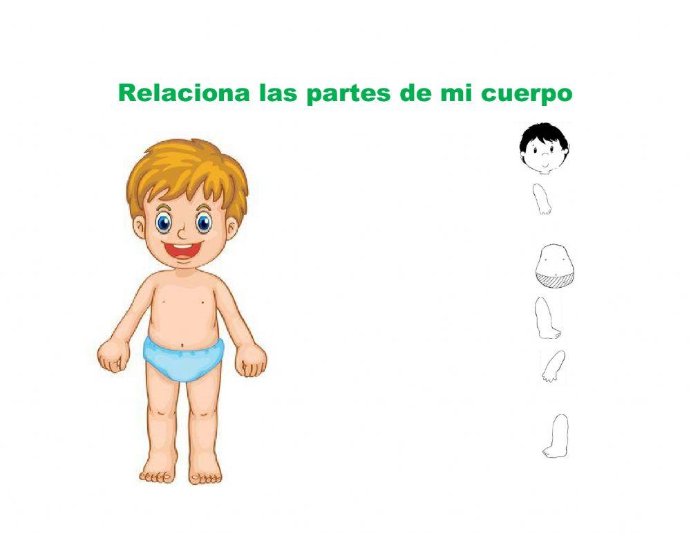 Las Partes de mi Cuerpo