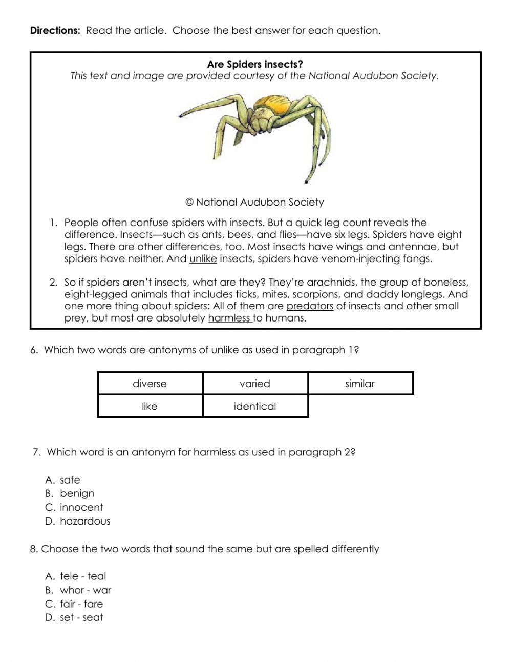 4.4b Synonyms, Antonyms, Homophones Assessment