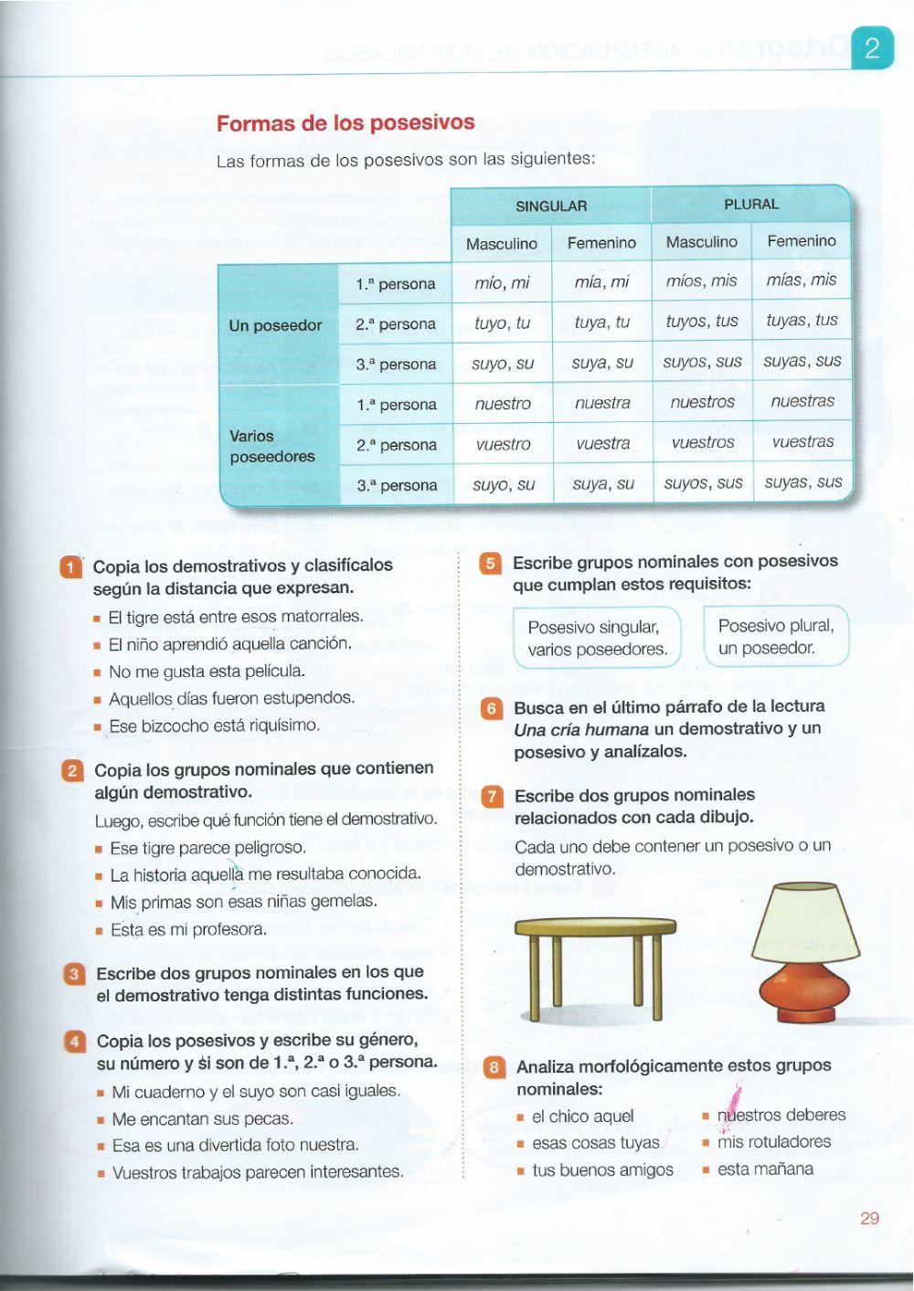 Demostrativos y Posesivos