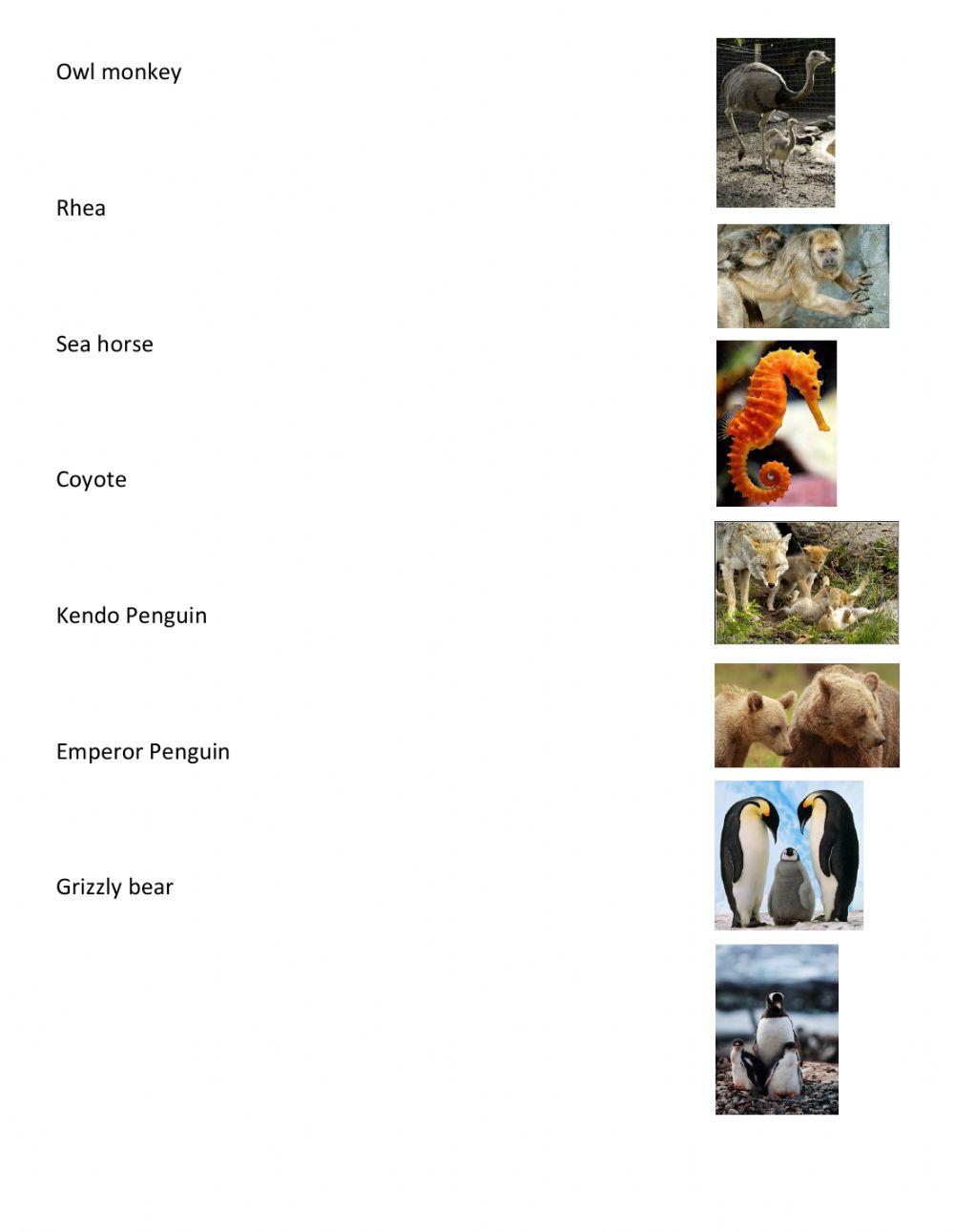 Animal Groups Protection