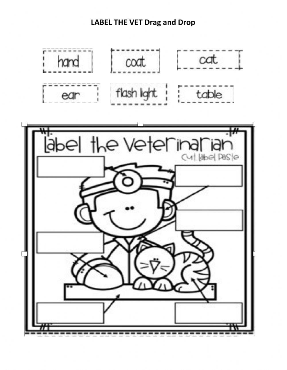 Vet drag and drop worksheet Live Worksheets