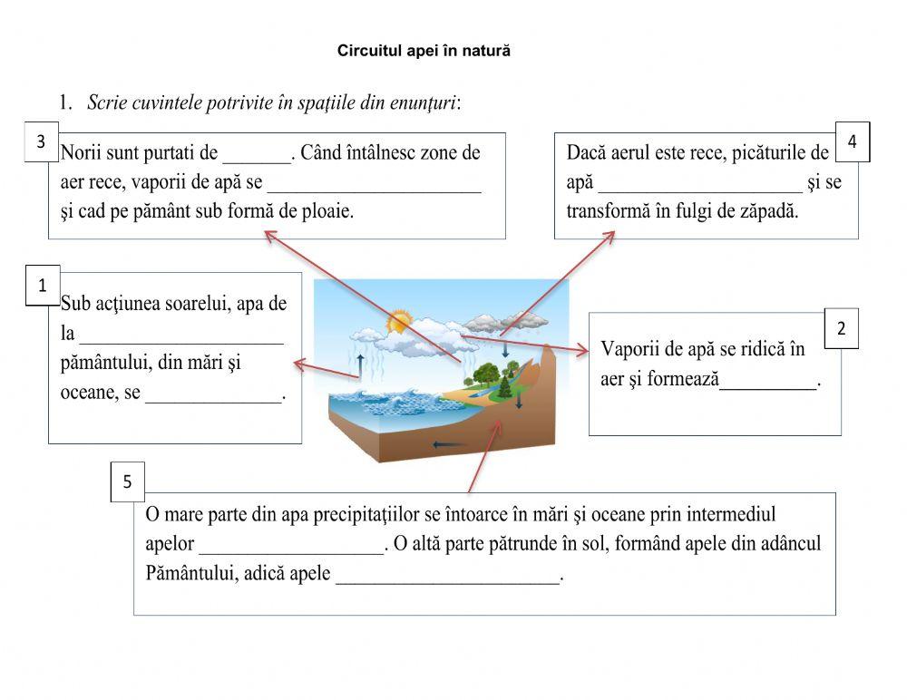 Fișă - Circuitul apei în natură