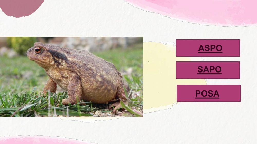 Ejercicios de palabras