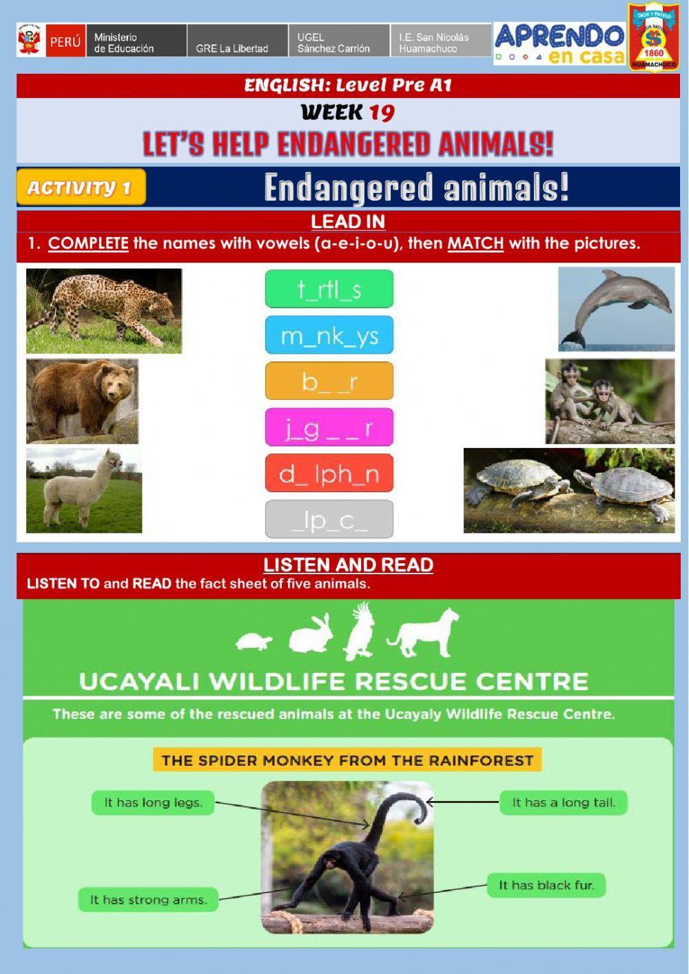 Let’s help endangered animals! -Endangered animals!