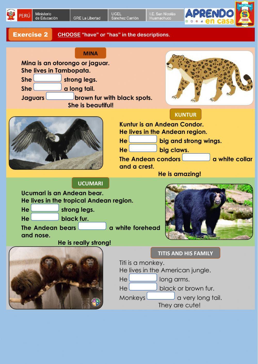 Let’s help endangered animals! -Endangered animals!