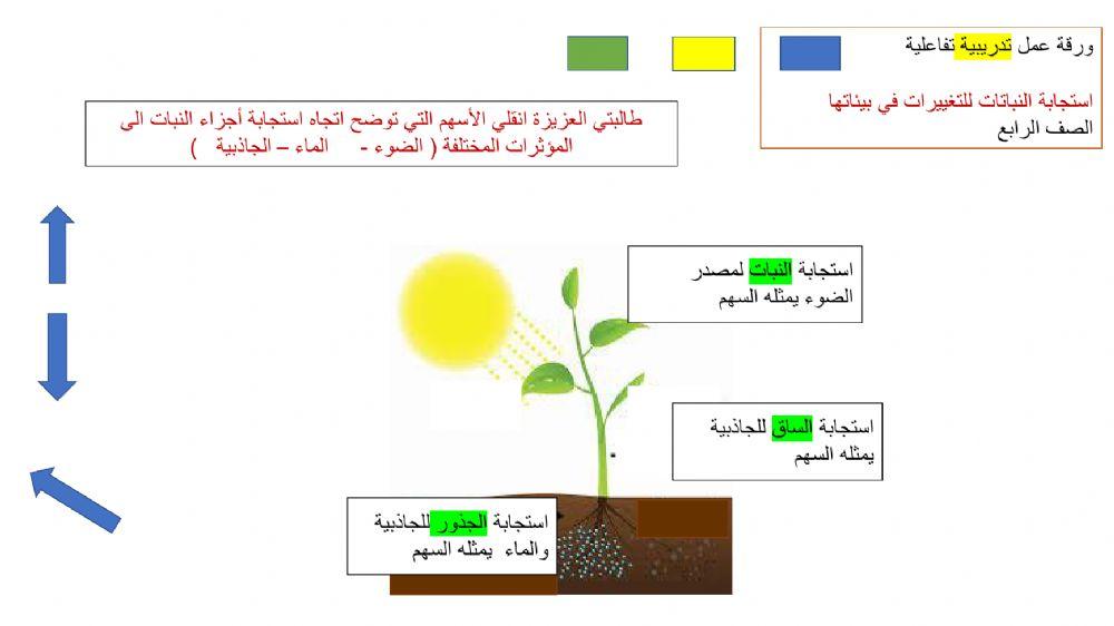 تكيف النباتات لبيئاتها